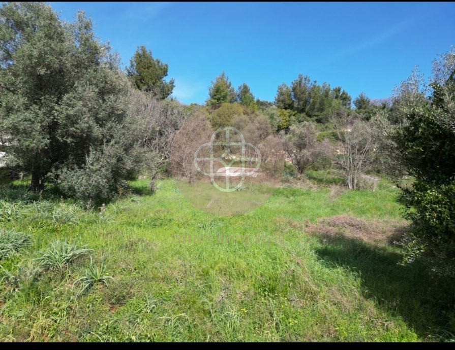 Photo of Stone house by the sea for reconstruction and 2 building plots with a project! Sea view / 550 m from the beach / ISTRIA