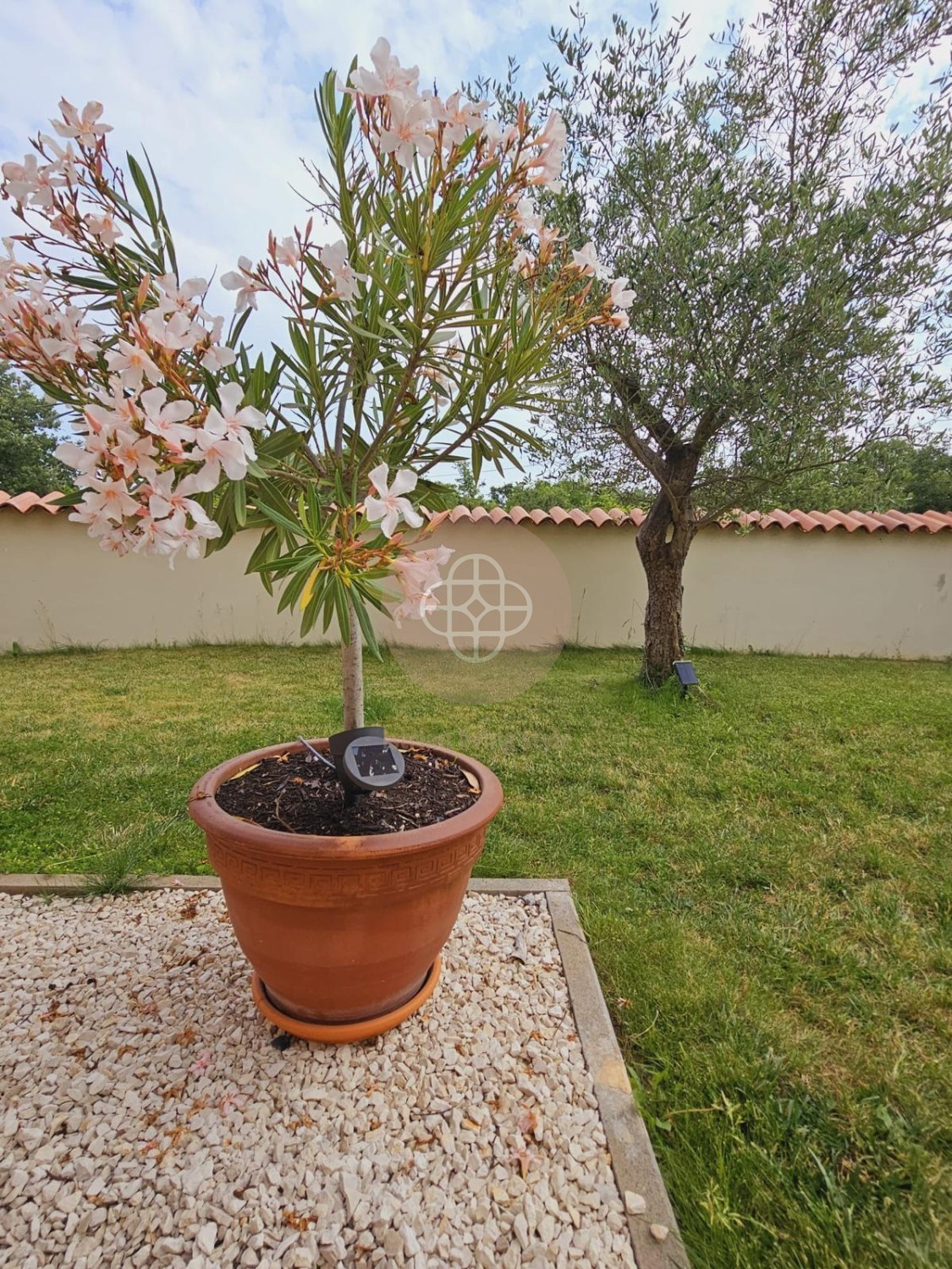 Photo of SO COZY - the perfect villa in the countryside