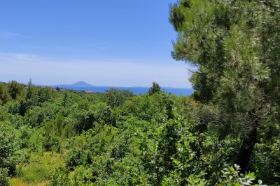 Baugrundstück mit Meerblick und Projekt für eine 5*- Villa im Osten Istriens
